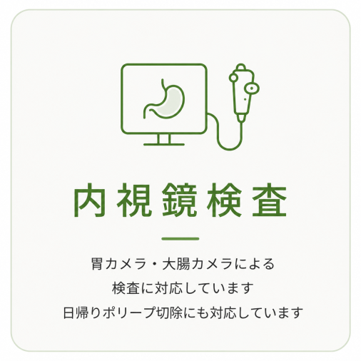 胃カメラ　大腸カメラ　経鼻内視鏡　ポリープ切除　ピロリ菌検査　内視鏡専門医