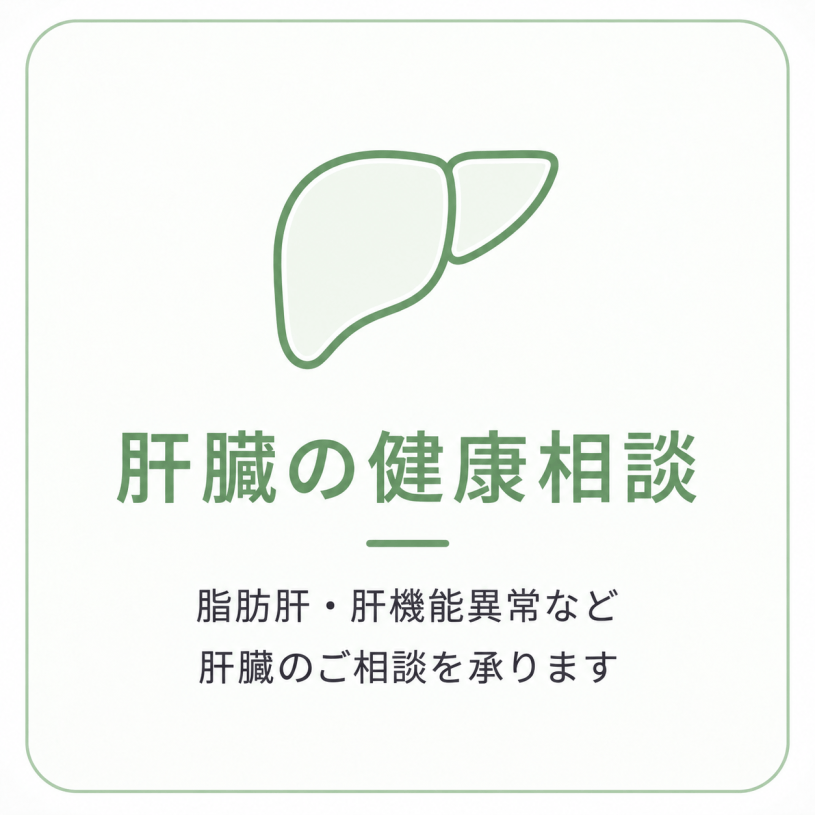 脂肪肝・肝機能異常・肝炎など肝臓疾患の相談